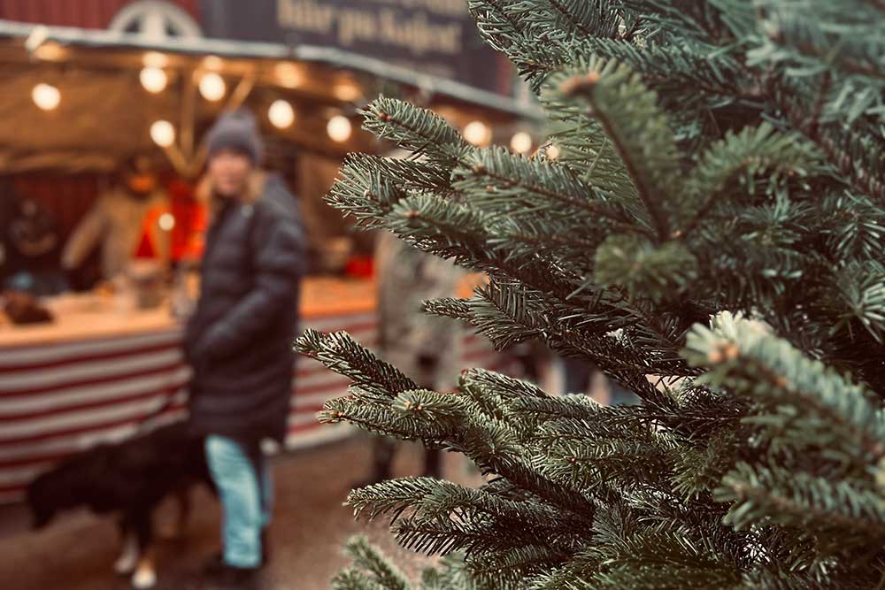 Julmarknad i Nacka strand